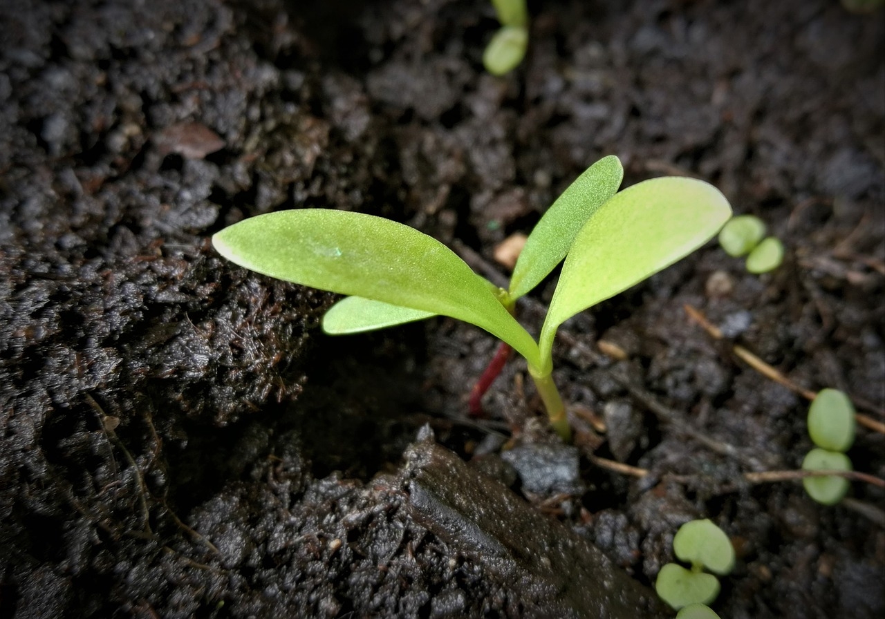 New Me New Life | Day 61 cover image