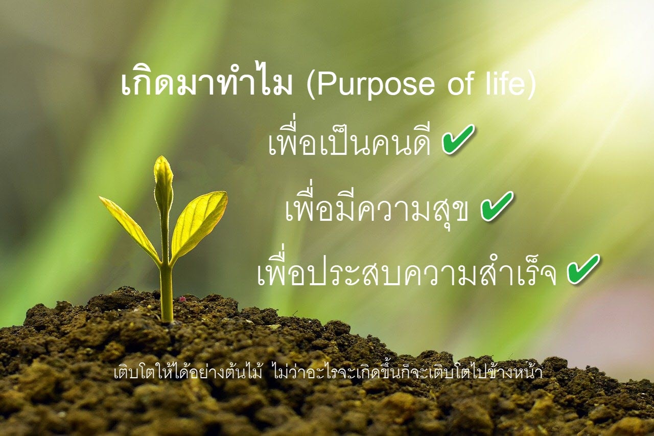 Purpose cover image