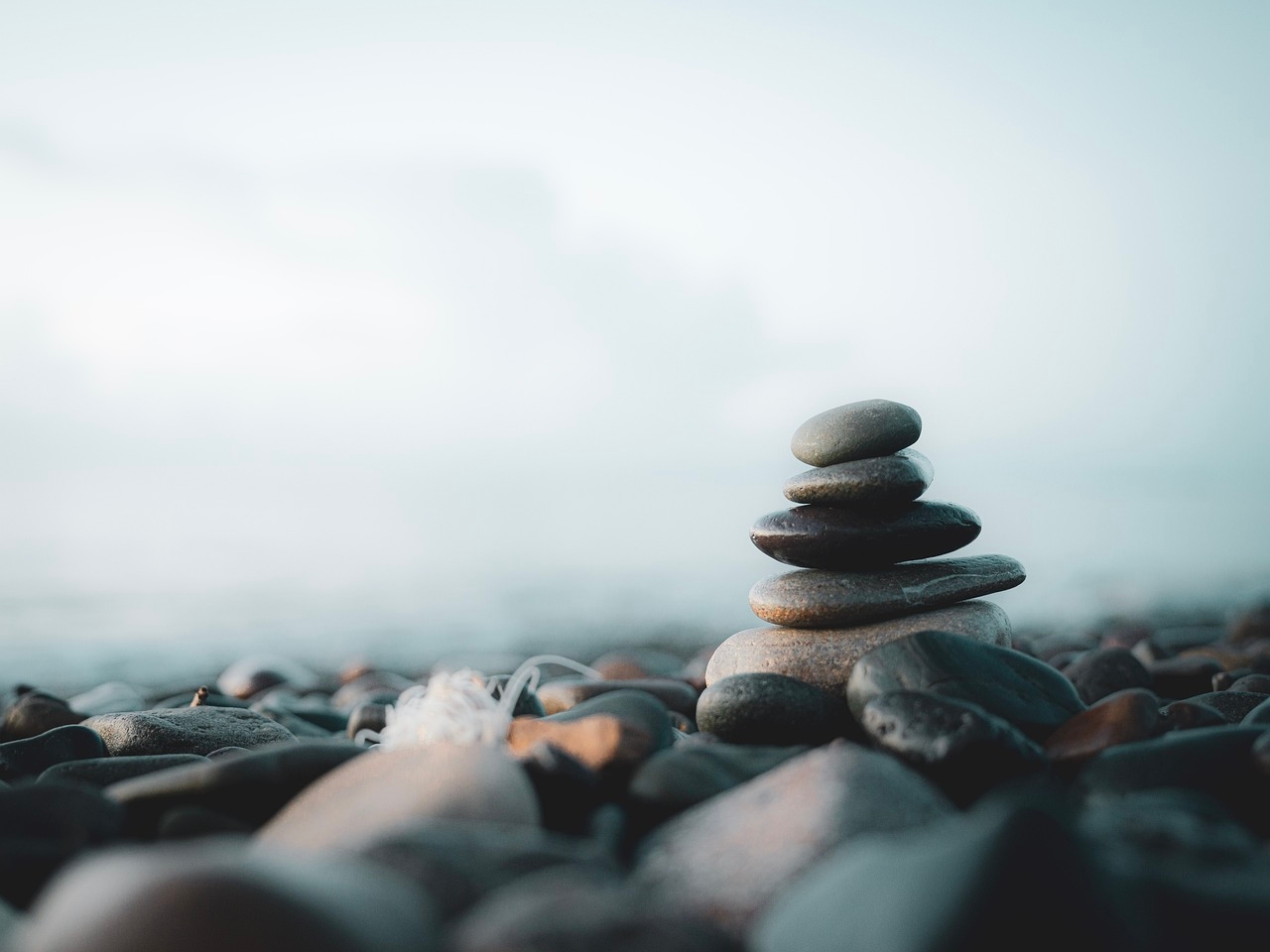 Meditation cover image